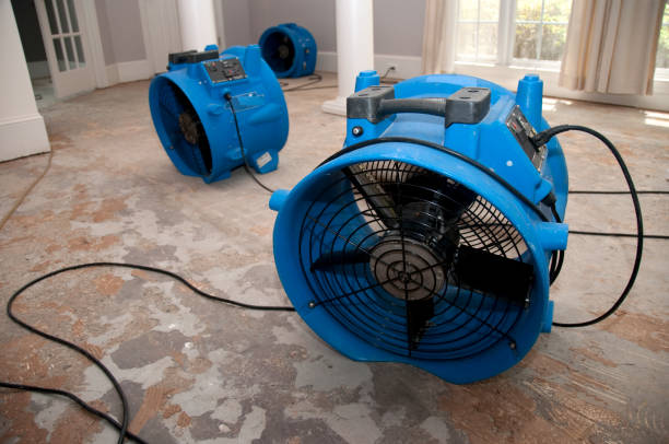 Best Flooded house restoration  in Plymouth Meeting, PA