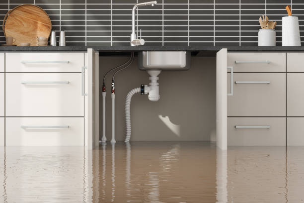 Best Basement water damage restoration  in Plymouth Meeting, PA